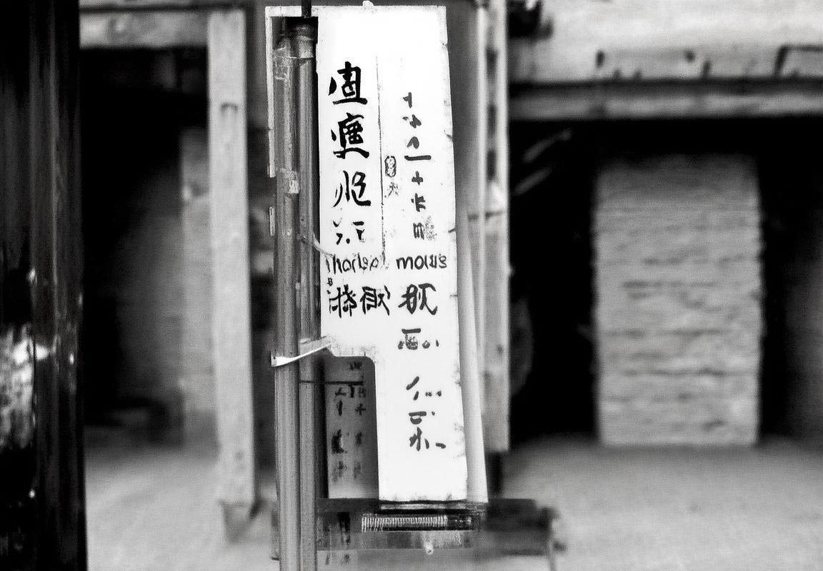 盛世遮天：作家笔触绘云彩，岁月沉淀织传奇