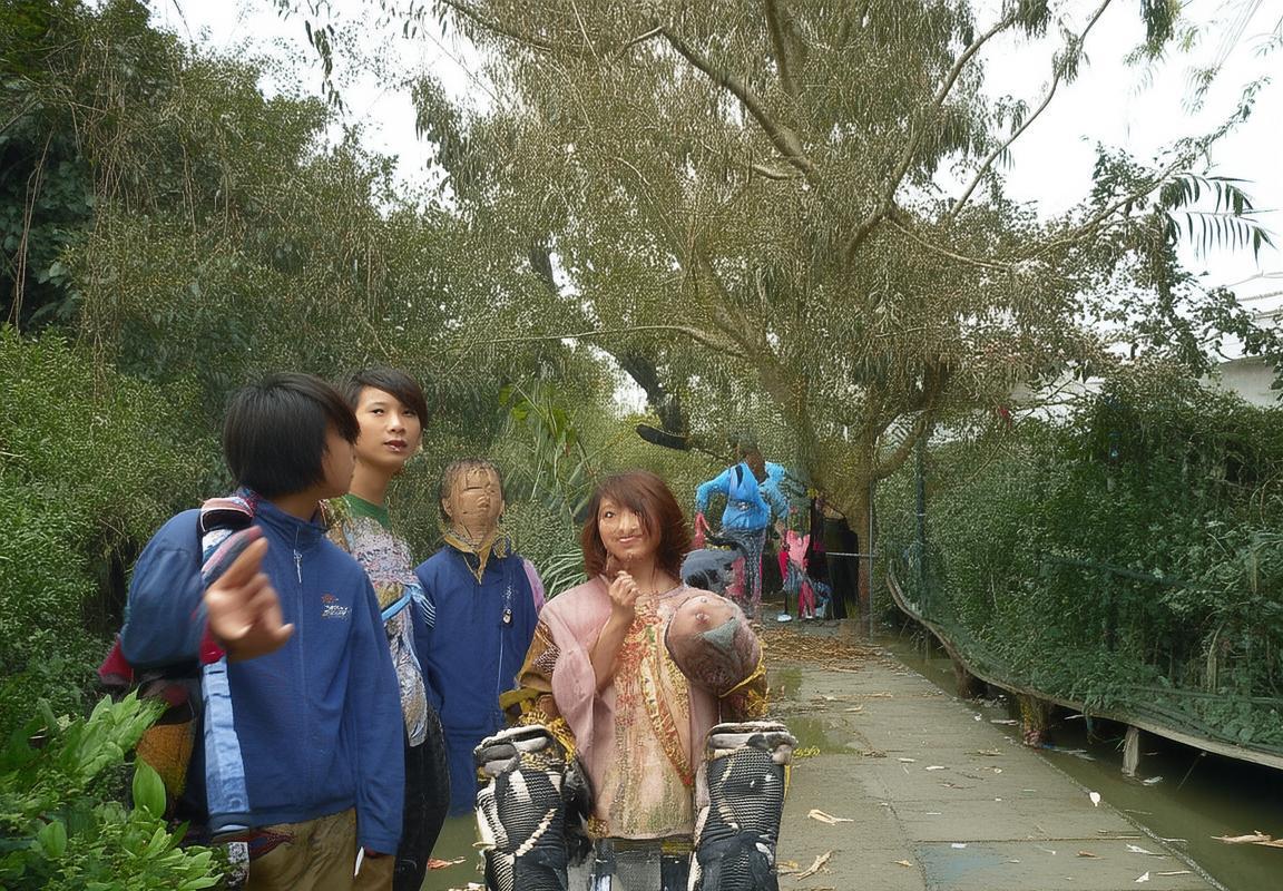 神奇宝贝古墓丽影崛起：速度狂飙激情挑战极限