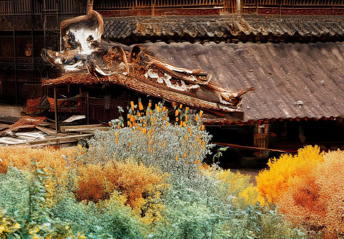 永恒仙途：追寻仙道的奇幻旅程