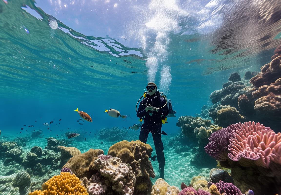 海底奇遇：挑战与惊喜中的潜水之旅，生死边缘的重燃梦想