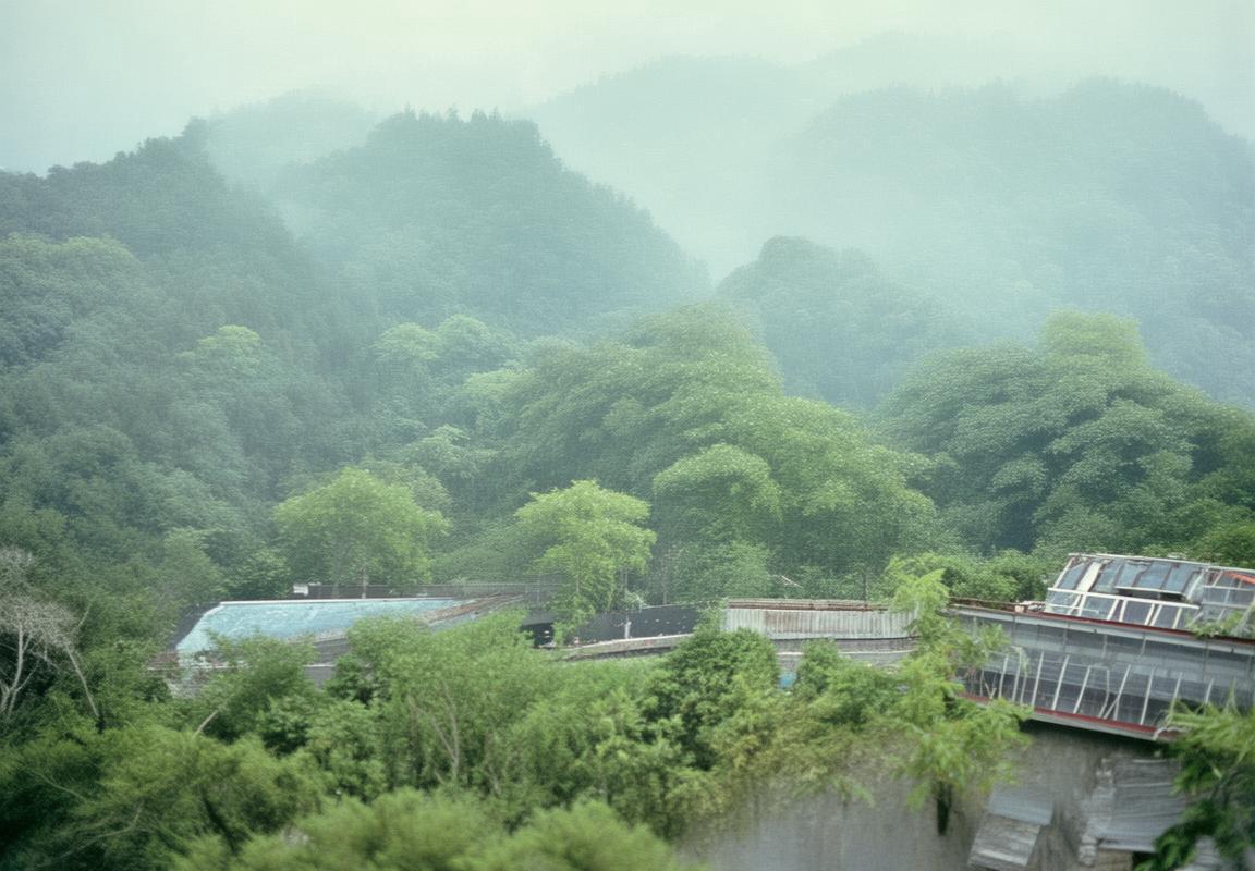 热血江湖传：少年侠客的传奇征途