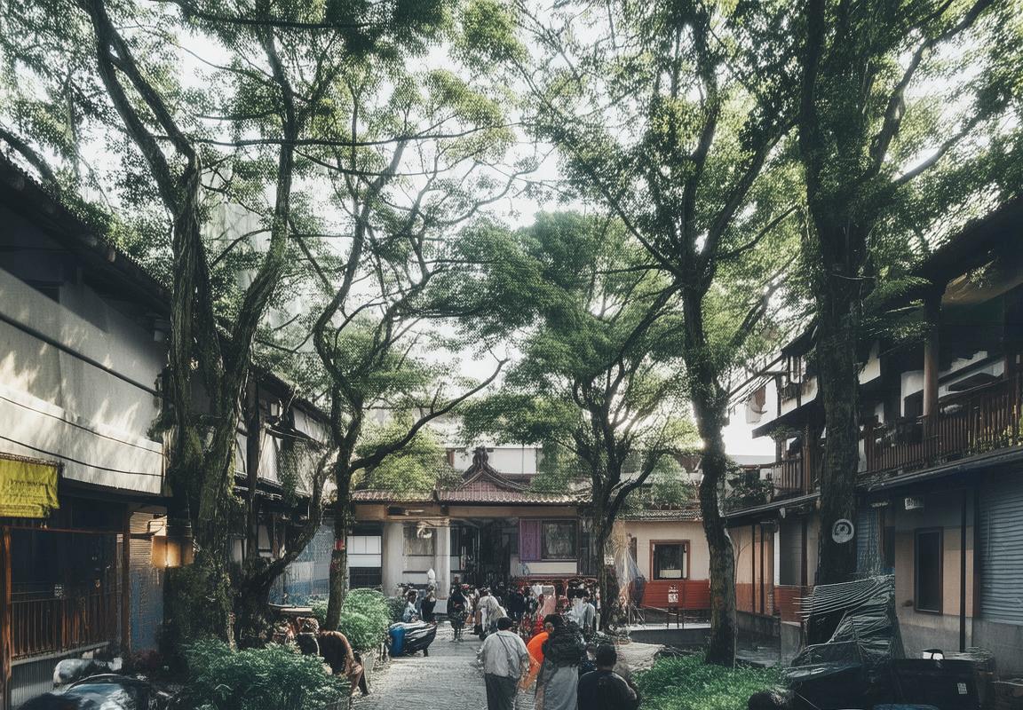 小新变身新月华剑士：华丽剑术展勇敢智慧，奇幻旅程启程