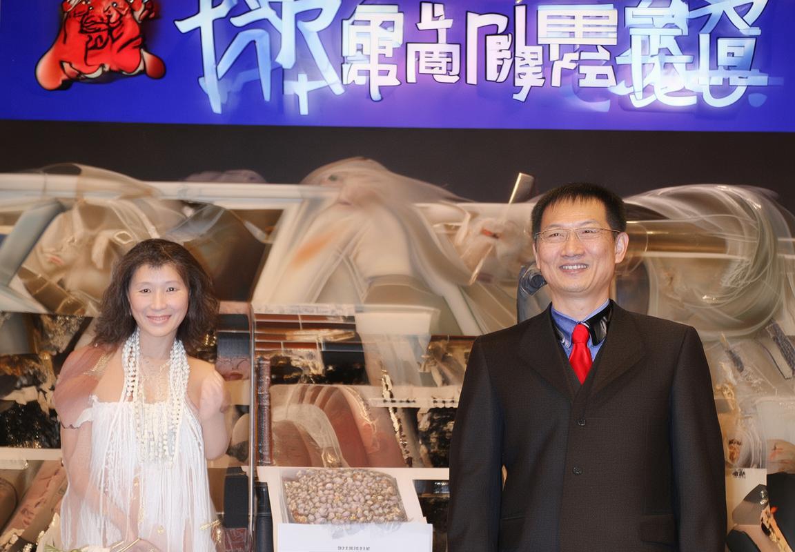 天龙决：流星长空，江湖传奇之旅